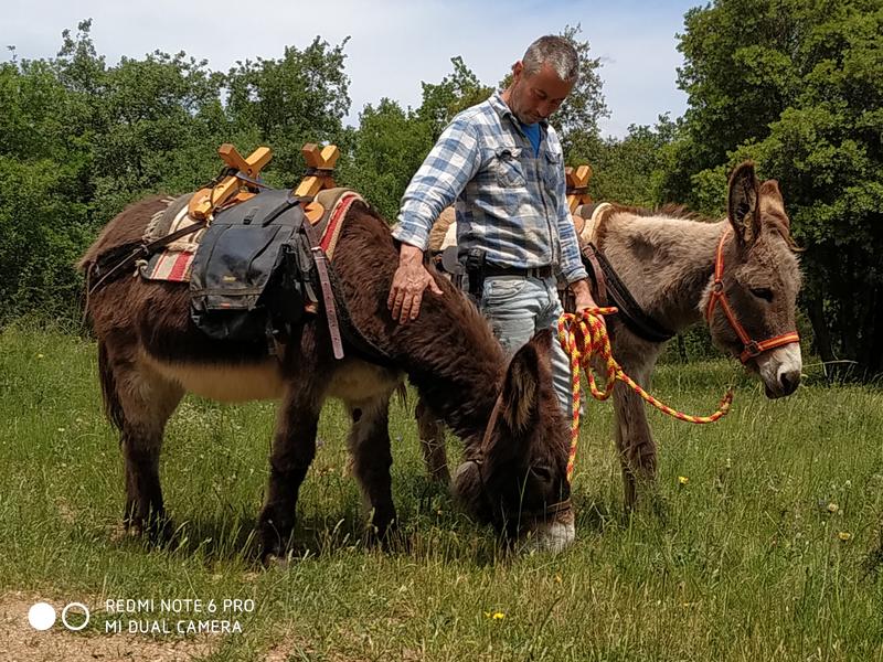 La Ferme aux Anes de Torderes