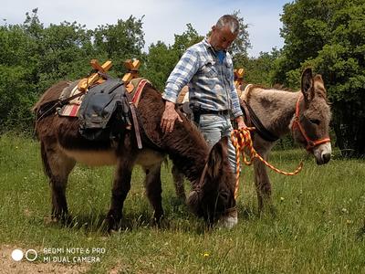 La Ferme aux Anes de Torderes