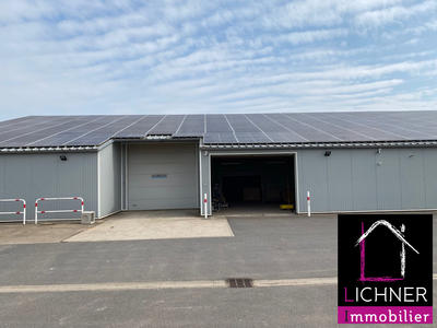 Local d'activités - 800 m²