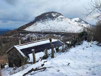 Maison - 26 m² - 2 pièces