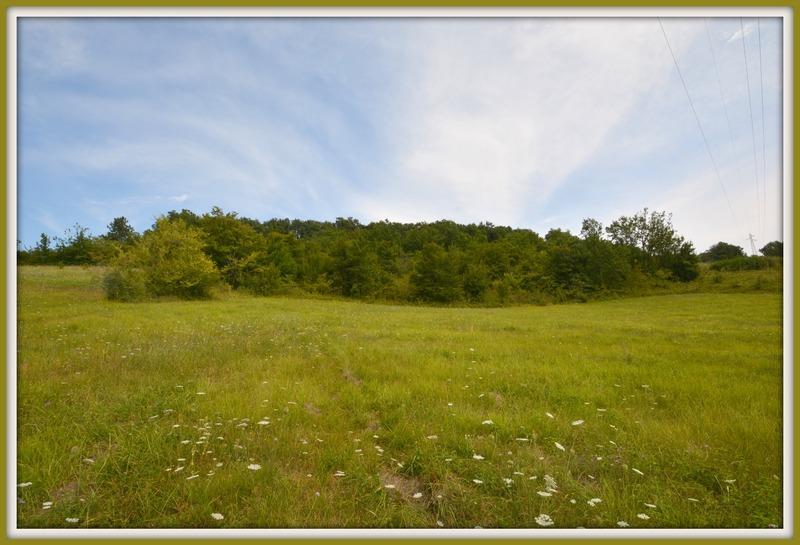 Terrain constructible - 1 313 m²