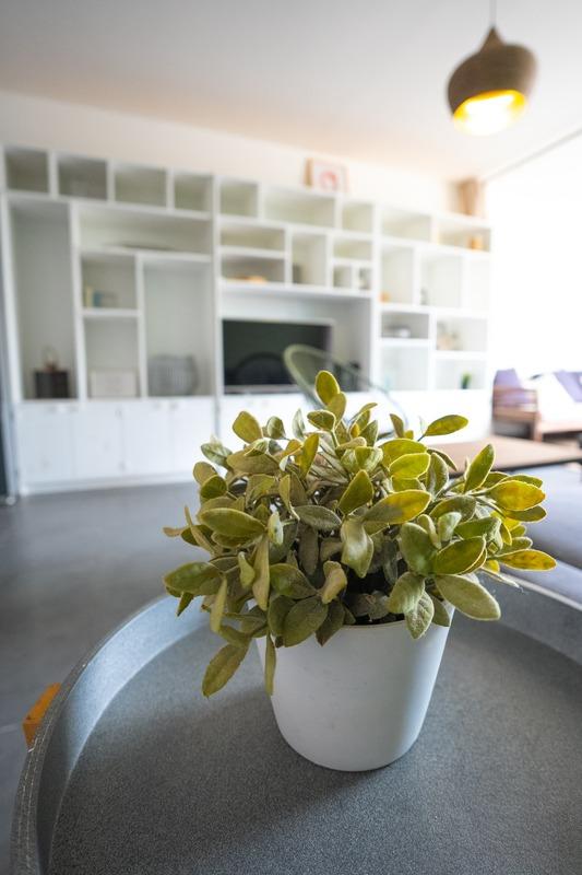 Appartement - 55 m² - 2 pièces