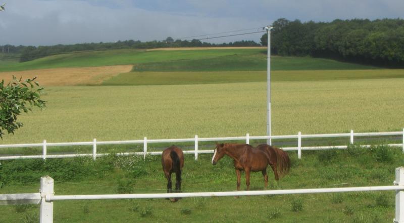 Haras - 330 m² - 15 pièces