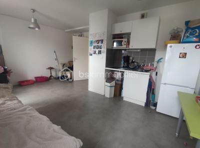 Studio - 29 m² - 1 pièce