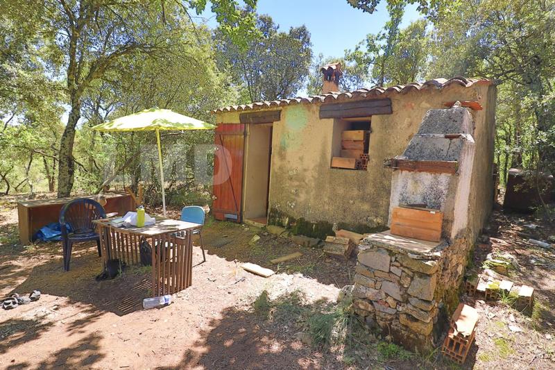 Terrain - 34 000 m²