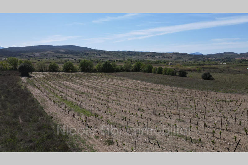 Terrain agricole - 19 998 m²