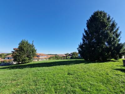 Terrain - 736 m²
