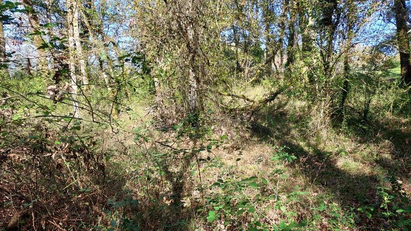 Terrain constructible - 1 255 m²