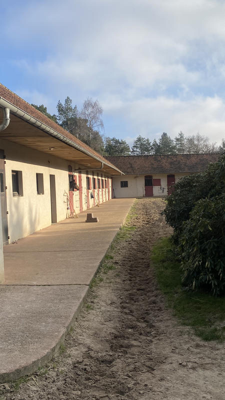 Maison de domaine équestre - 120 m² - 5 pièces