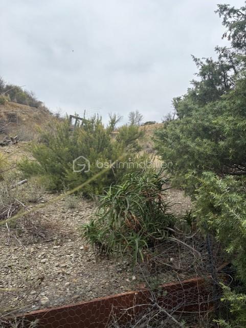 Terrain agricole - 1 590 m²