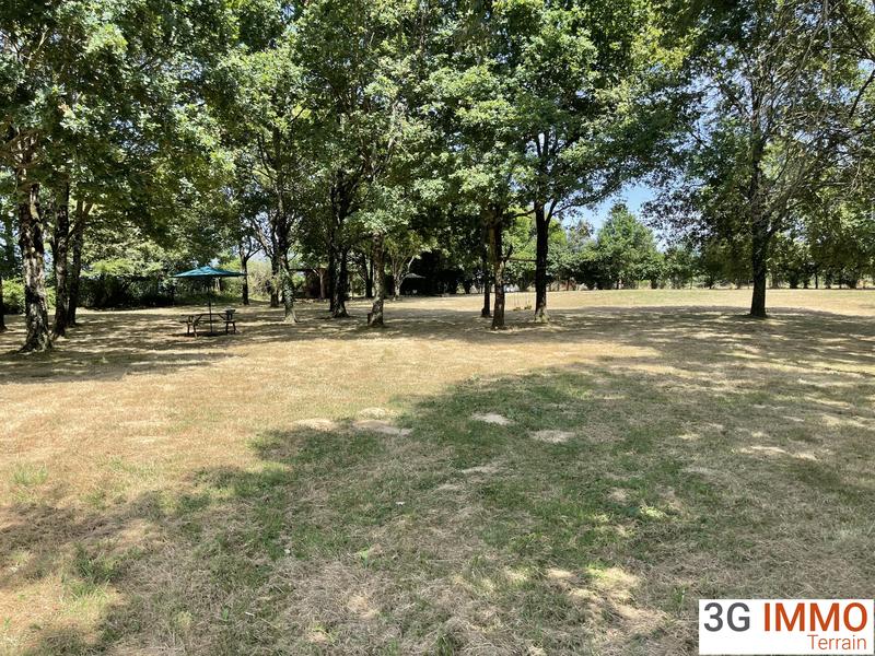 Terrain - 20 903 m²