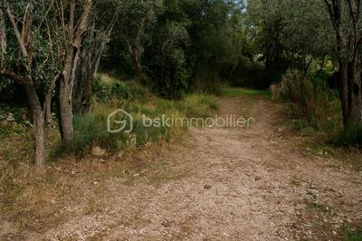 Terrain - 550 m²