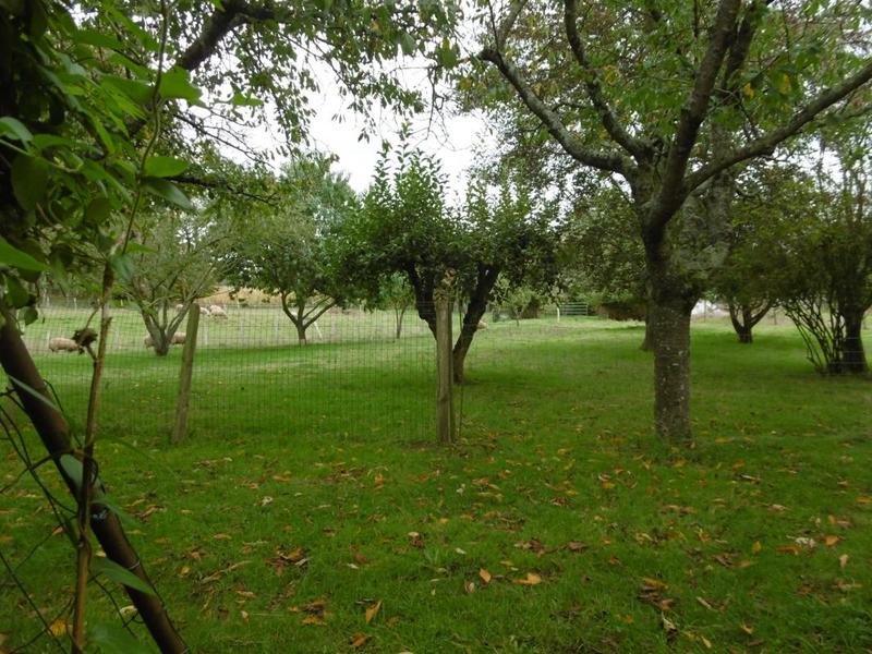 Propriété - 150 m² - 6 pièces