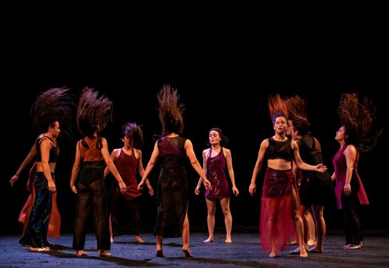 Fêu - Festival la Beauté du Geste