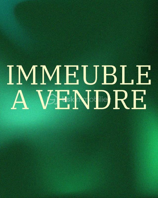 Immeuble - 230 m² - 10 pièces