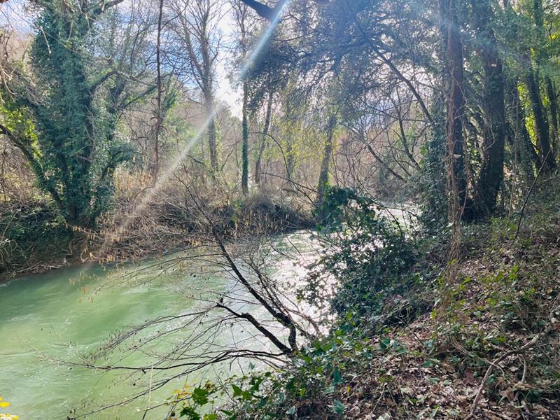 Maison - 184 m² - 7 pièces