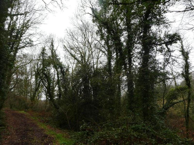 Terrain agricole - 13 922 m²