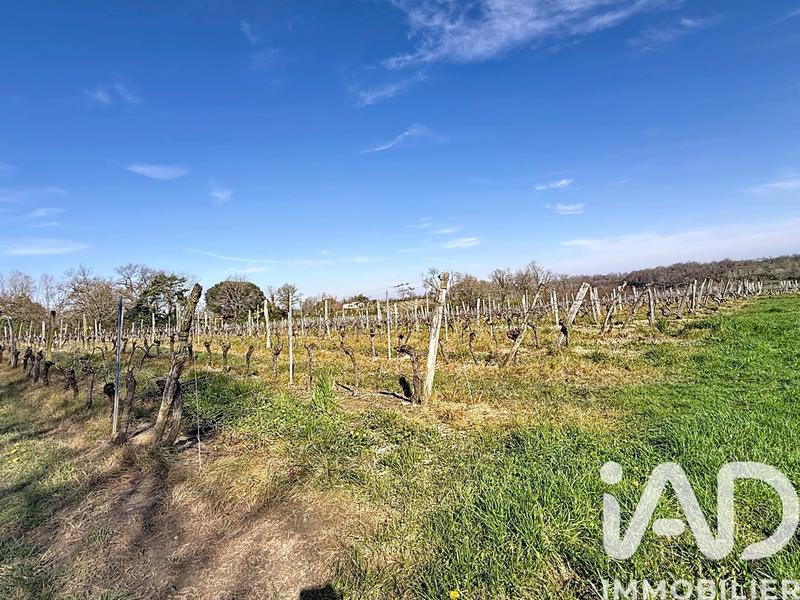 Maison - 290 m² - 6 pièces