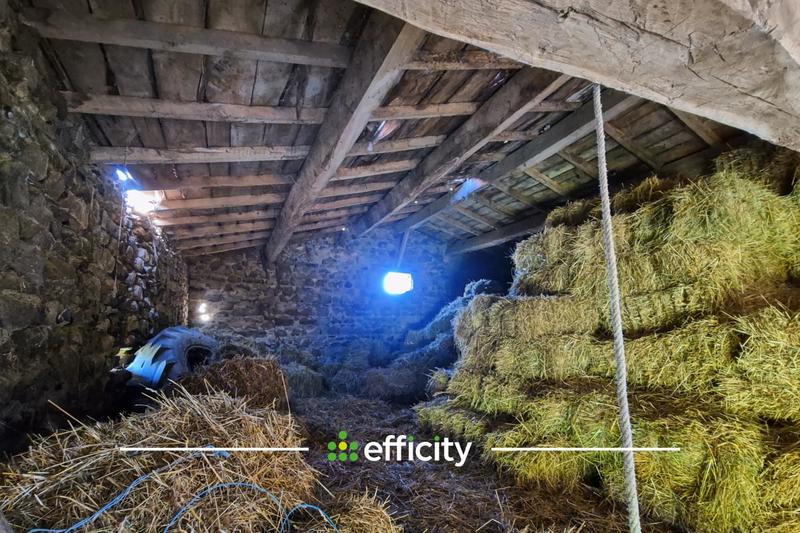 Maison - 300 m² - 3 pièces