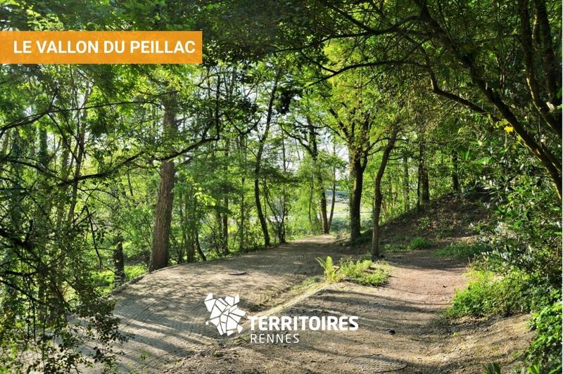 Terrain constructible - 264 m²