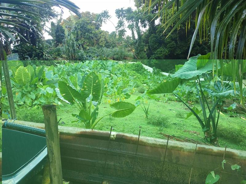 Terrain constructible - 500 m²