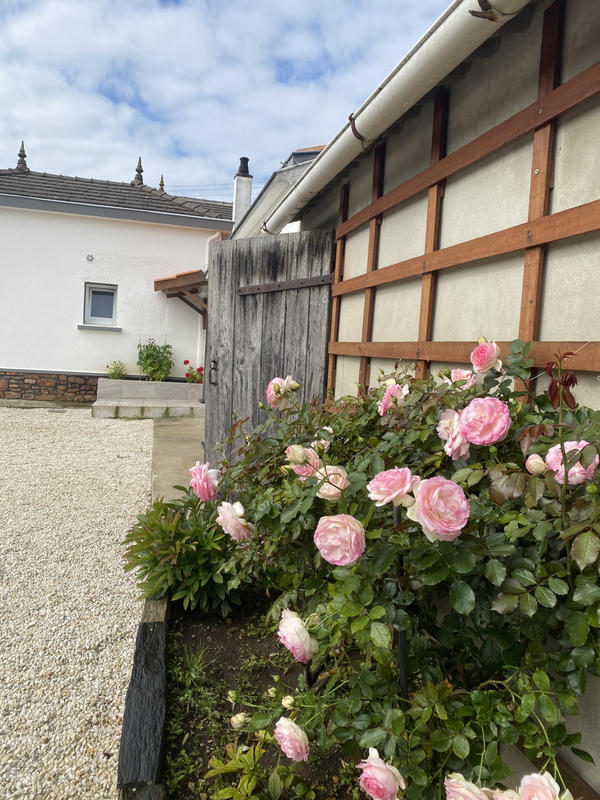 Viager - Maison - 168 m² - 5 pièces