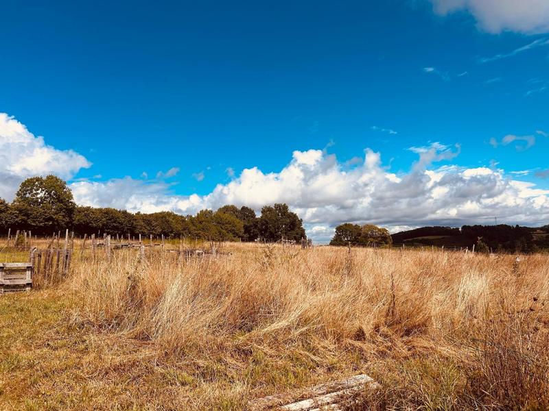 Maison - 253 m² - 7 pièces