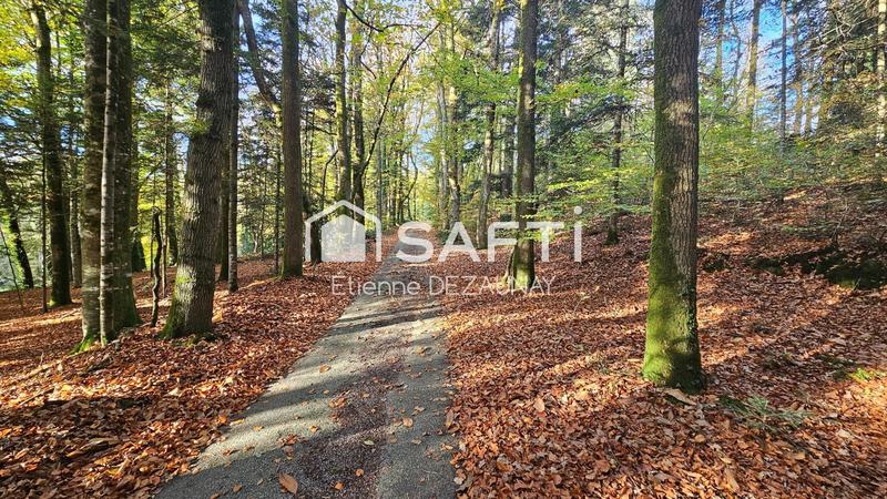 Propriété - 420 m² - 13 pièces