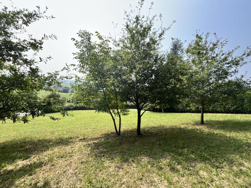 Terrain - 3 462 m²