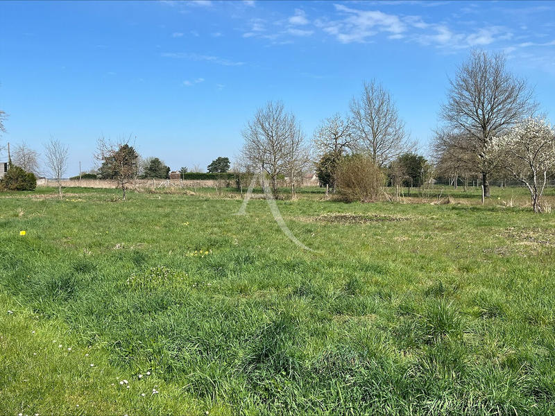 Terrain - 534 m²