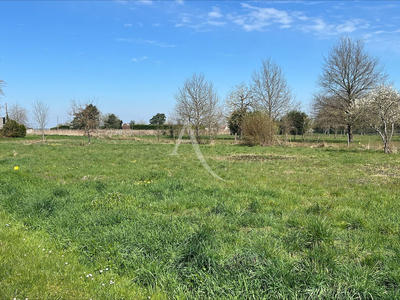Terrain - 534 m²