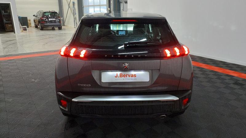 Peugeot 2008 Bluehdi 130 s&amp;S Eat8 Active Business