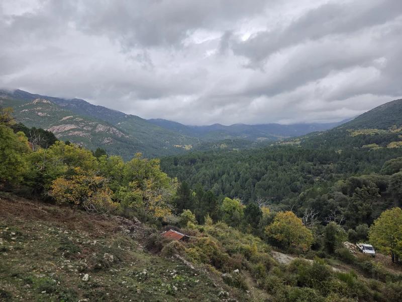 Appartement - 92 m² - 4 pièces