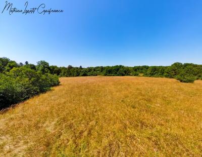 Terrain constructible - 13 200 m²