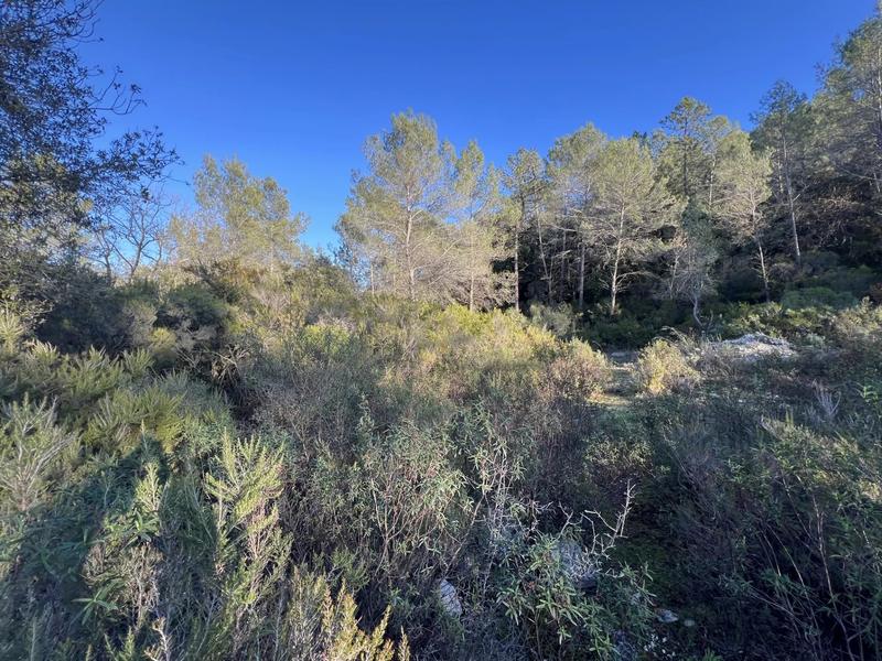 Terrain inconstructible - 1 000 m²