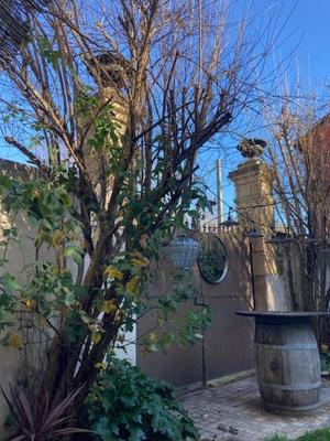 Maison - 290 m² - 8 pièces