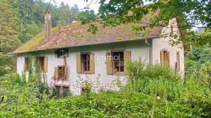 Maison ancienne - 225 m² - 8 pièces