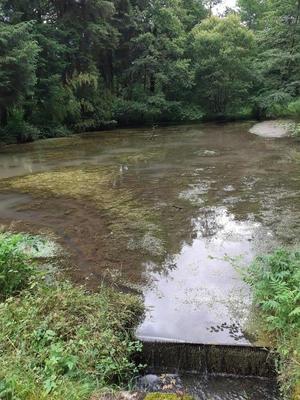 Terrain - 24 860 m²