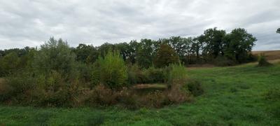 Terrain de loisirs - 1 800 m²