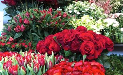 1 . Flore &amp; Sens