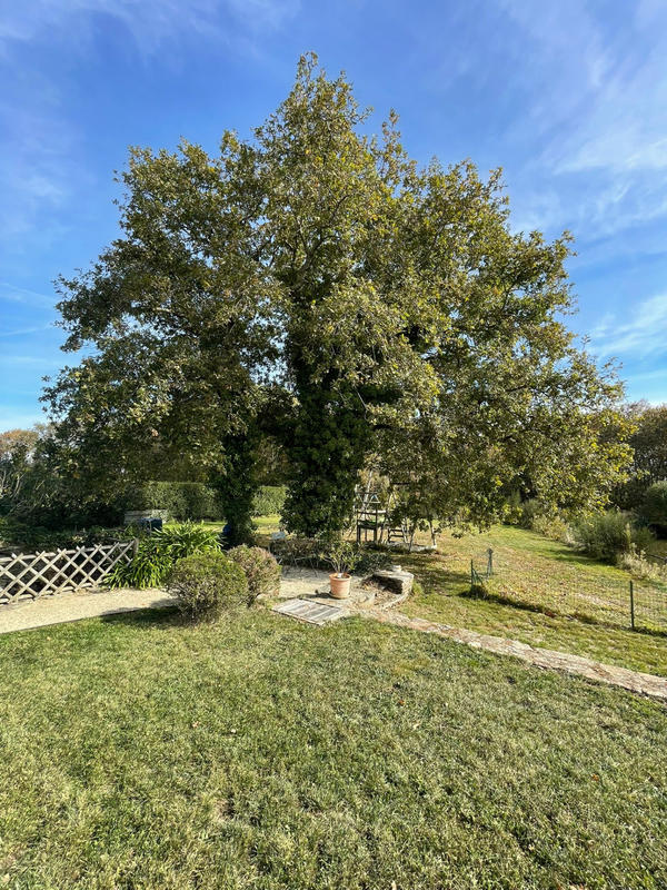 Maison - 175 m² - 7 pièces