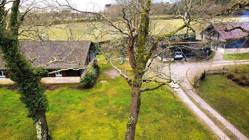 Maison - 230 m² - 8 pièces