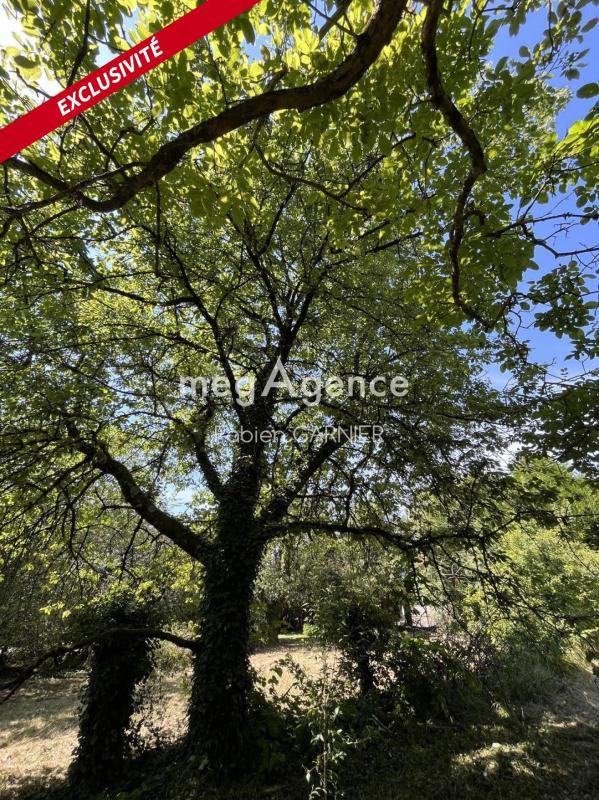 Terrain constructible - 530 m²