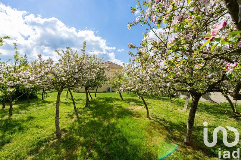 Maison - 180 m² - 5 pièces