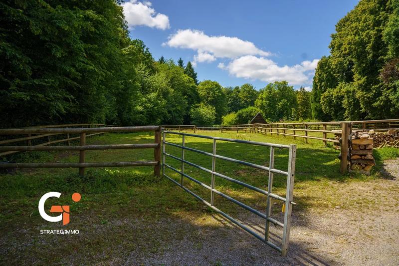 Maison de domaine équestre - 20 pièces