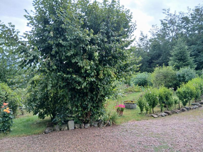 Maison - 92 m² - 3 pièces