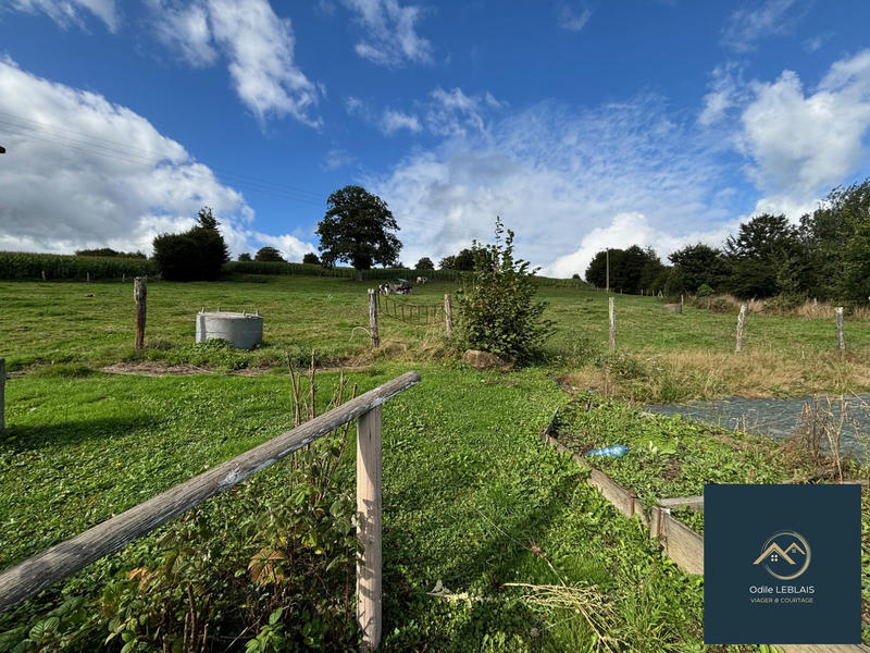 Viager - Maison ancienne - 108 m² - 4 pièces