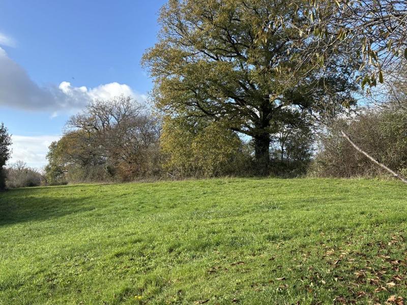 Ferme - 107 m² - 4 pièces