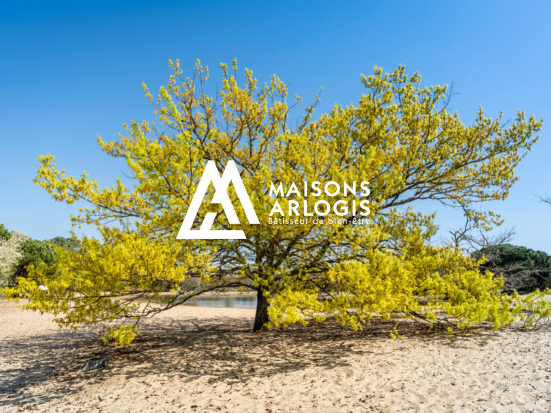 Terrain constructible - 620 m²