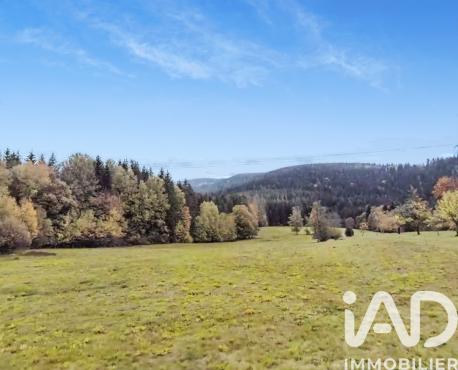 Terrain - 19 000 m²